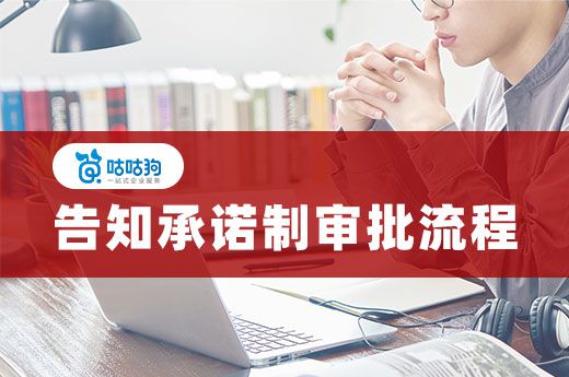 干货分享:告知承诺制审批流程全解析