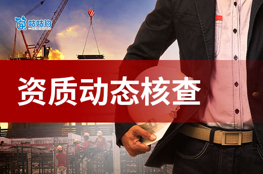 河北2025年建筑业企业资质“双随机、一公开”核查情况